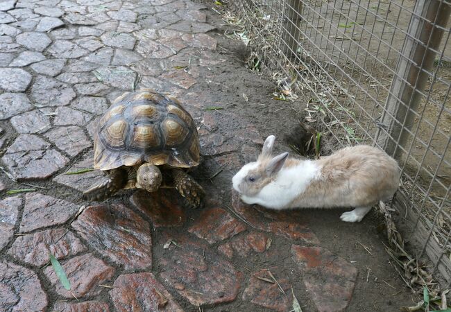 サユリワールド クチコミ アクセス 営業時間 市原 フォートラベル サユリワールド クチコミ アクセス 営業時間 市原 フォートラベル