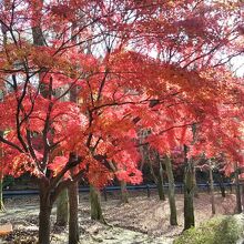 前平公園