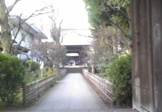 学芸大学 都立大学の寺 神社 クチコミ人気ランキングtop16 フォートラベル 東京 学芸大学 都立大学の寺 神社 クチコミ人気ランキングtop16 フォートラベル 東京