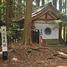 杉の巨木をまつる