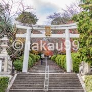 近くには陽成天皇 神楽岡東陵と後一条天皇 菩提樹院陵 の二つの天皇陵がありますのでついでにどうぞ。