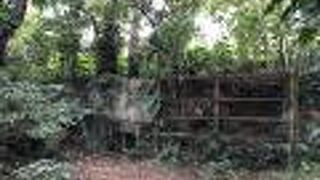 首里城の真下に司令部壕