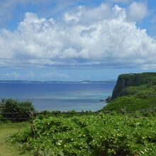 白鳥岬から見たふなうさぎバナタ