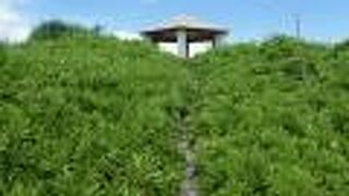 ふなうさぎバナタのすぐ北側。