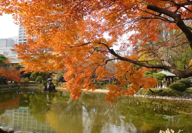 日比谷公園 雲形池 クチコミ アクセス 営業時間 銀座 有楽町 日比谷 フォートラベル 日比谷公園 雲形池 クチコミ アクセス 営業時間 銀座 有楽町 日比谷 フォートラベル