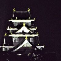 岡山城(望遠で）