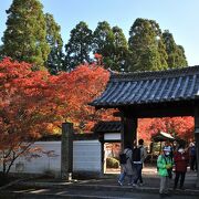 こぼれる紅葉