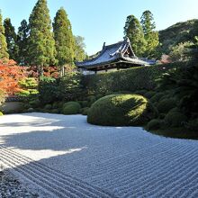 渋い。南側の庭だ