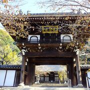 眺めの良いお寺