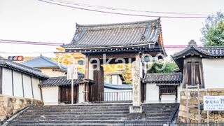 大通り沿いに立派な門を構えています。