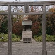 JR博多駅屋上の神社