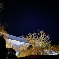 夜、星が綺麗に見えました！