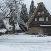 本当は雪深いらしい