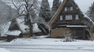 本当は雪深いらしい