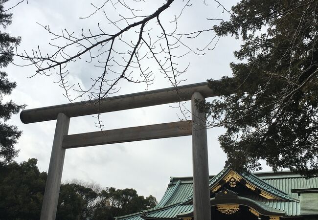 靖国神社 中門鳥居 クチコミ アクセス 営業時間 市ヶ谷 フォートラベル 靖国神社 中門鳥居 クチコミ アクセス 営業時間 市ヶ谷 フォートラベル