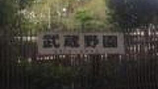 つり堀 武蔵野園