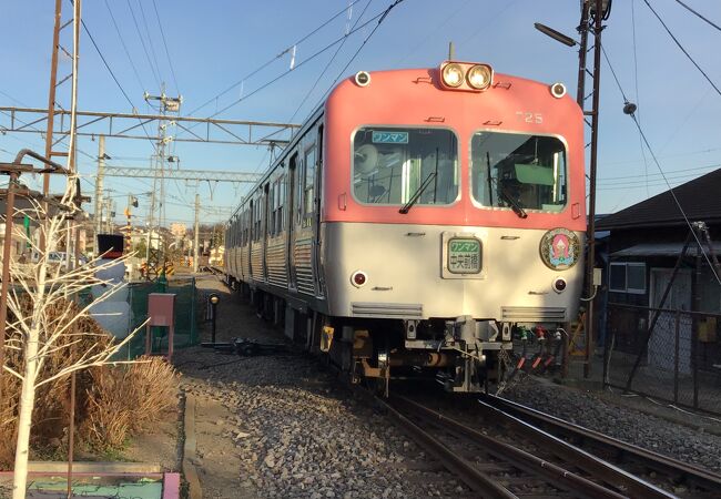 元井の頭線の車両が8つの色で頑張っています