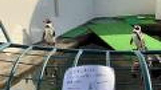 ほのぼの動物園！