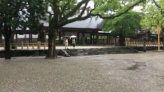 市内観光の候補に