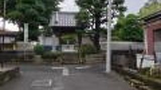 隣の薬王院と対をなす阿弥陀如来立像があります。