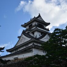 高知城の全景