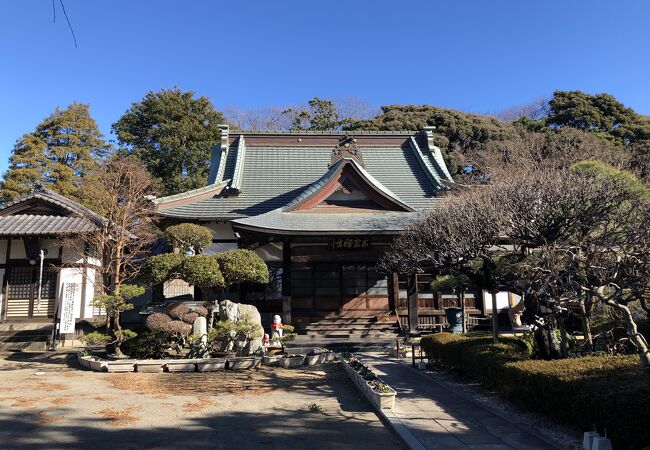 鎌倉の龍宝寺の末寺