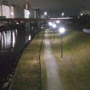 夜景もきれいです