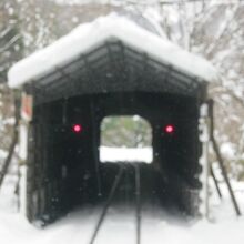 スイッチバックは色々な角度から楽しみましょうね！