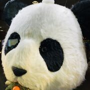 パンダ　がお出迎え　松坂屋　上野店