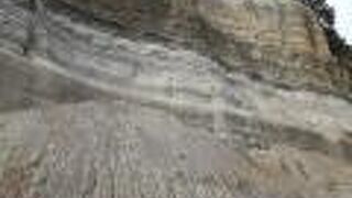 半崎の野田層群