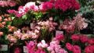 Hibiya-Kadan Style (アトレ恵比寿店)