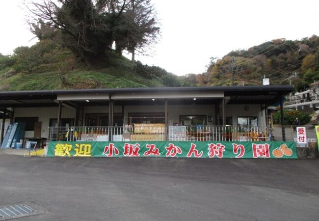 伊豆長岡温泉のおすすめ観光スポット クチコミ人気ランキングtop フォートラベル 静岡県 伊豆長岡温泉のおすすめ観光スポット クチコミ人気ランキングtop フォートラベル 静岡県