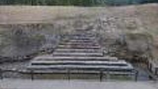 藩主のお庭入り