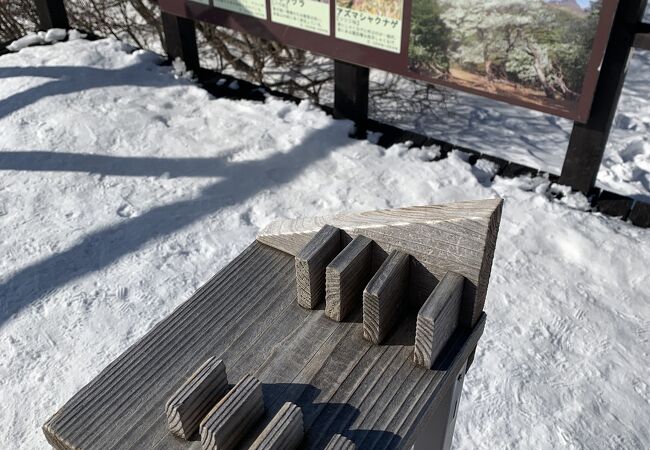 那須 天気 ジーンズ マウント