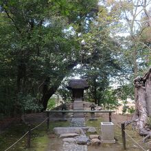 ひそやかな場所にある