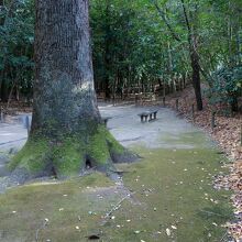ベンチが置いてある