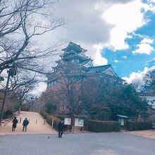 フォルムが美しい