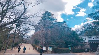 入館はしなくても