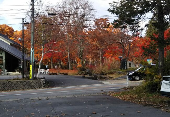 紅葉がきれい