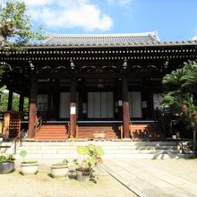 存在感ある本堂とソテツ