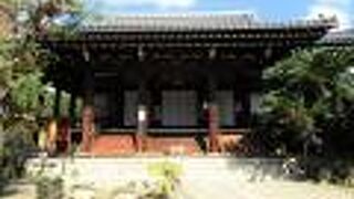 本堂と脇のソテツは存在感がある大きさ