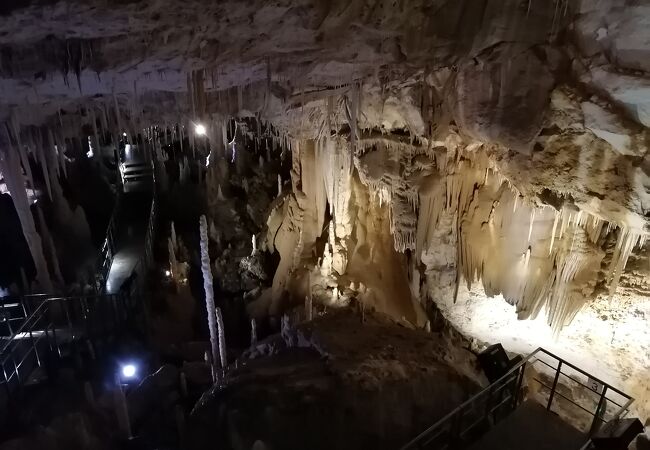 星野洞 クチコミ アクセス 営業時間 北大東 南大東島 フォートラベル 星野洞 クチコミ アクセス 営業時間 北大東 南大東島 フォートラベル