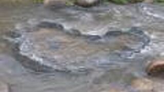 雨天時はちょっと水没気味でした…