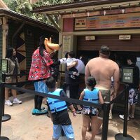 グーフィーはかなりの頻度でいます