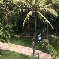 部屋から見てたら手を振ってくれました