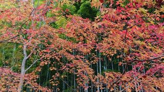 小さな尼寺