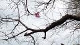 眺めはとても良かったです