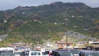 八幡浜のストレートジュースがたくさん売られていました