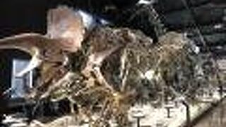 事前予約して訪問しました