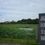 高田城跡が残されている公園